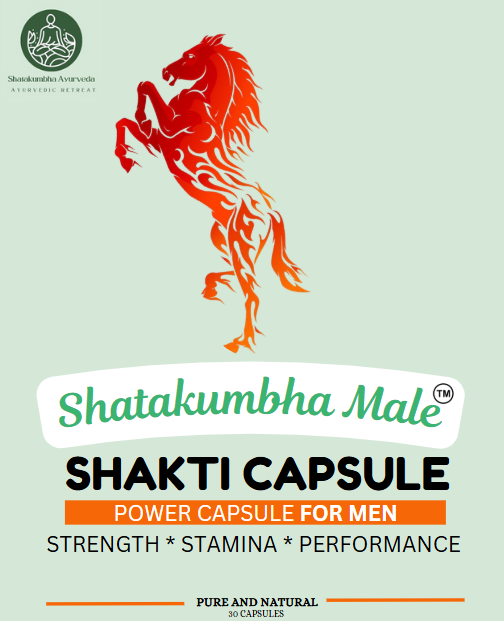 Shatakumbha Shakti Capsule (30 Capsules)