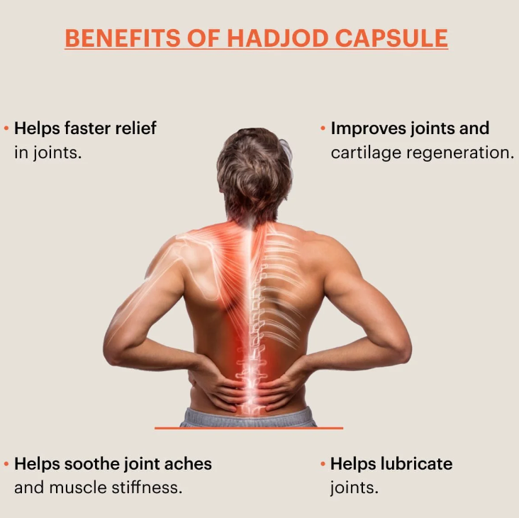 Healthally Hadjod Capsule for Joint Pain | Bones & Joint Strength Capsule (60 Cap)