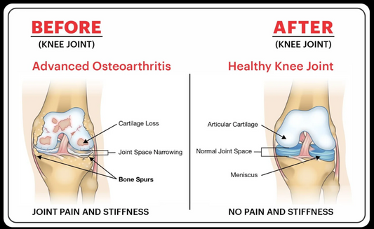 Bansiwala Pain Guard Oil for Joint Pain | Ayurvedic Pain Relief Oil